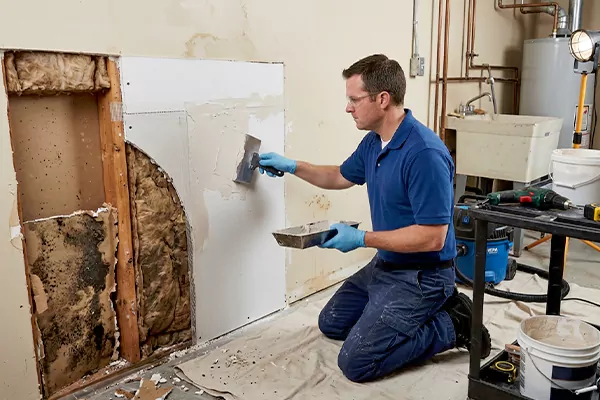 Mold and Drywall Repair Newport Beach