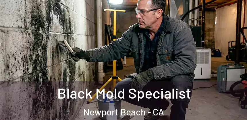 Black Mold Specialist Newport Beach - CA