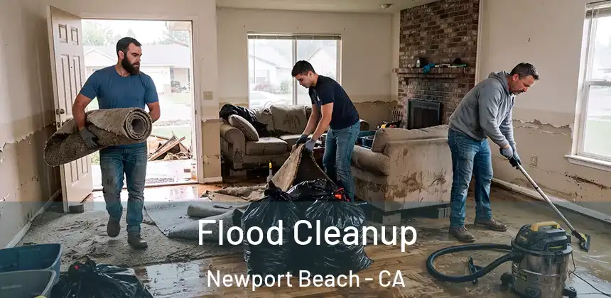  Flood Cleanup Newport Beach - CA