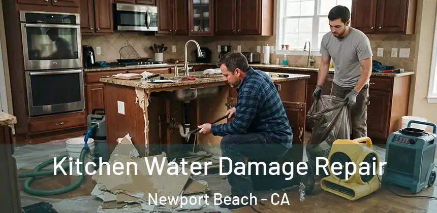  Kitchen Water Damage Repair Newport Beach - CA