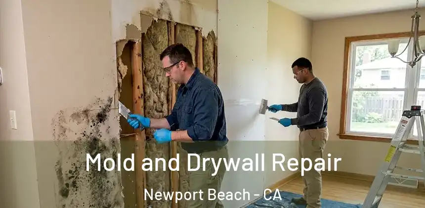  Mold and Drywall Repair Newport Beach - CA