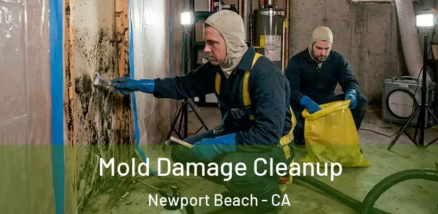 Mold Damage Cleanup Newport Beach - CA
