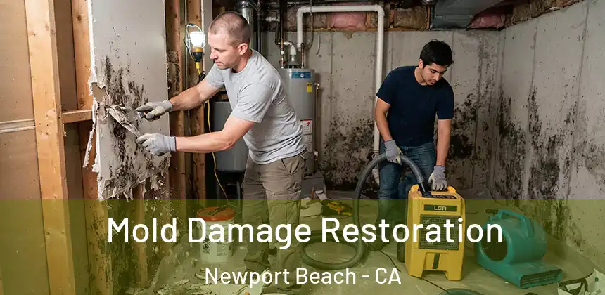  Mold Damage Restoration Newport Beach - CA