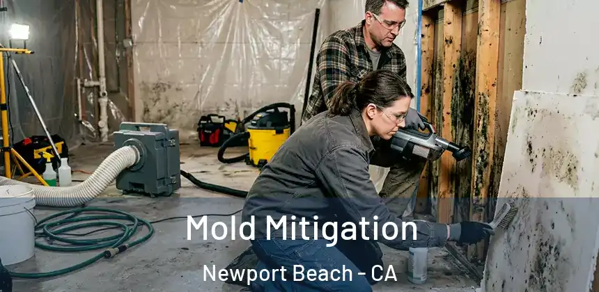  Mold Mitigation Newport Beach - CA