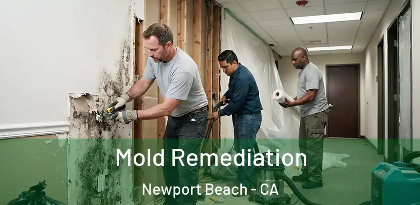  Mold Remediation Newport Beach - CA