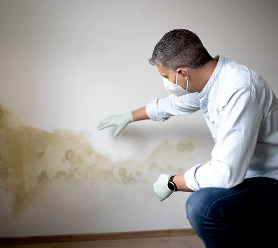 Mold Removal Service in Newport Beach, CA