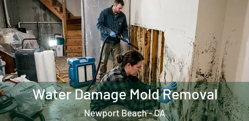 Water Damage Mold Removal Newport Beach - CA