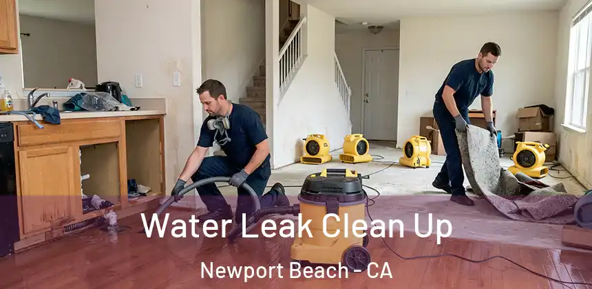  Water Leak Clean Up Newport Beach - CA